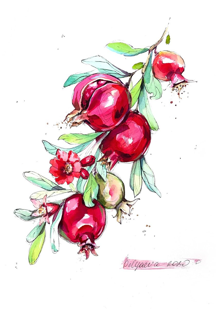 Pomegranate by Belyaeva Oleksandra