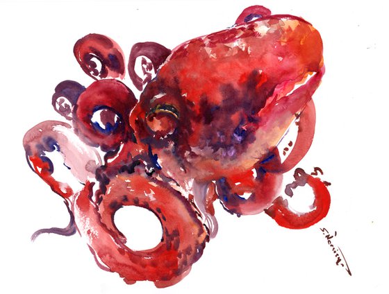 Octopus