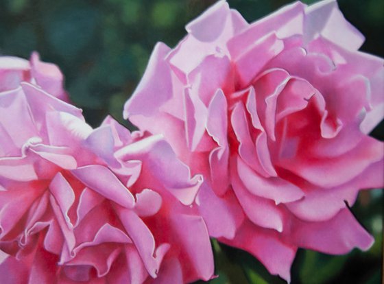 Pink Roses