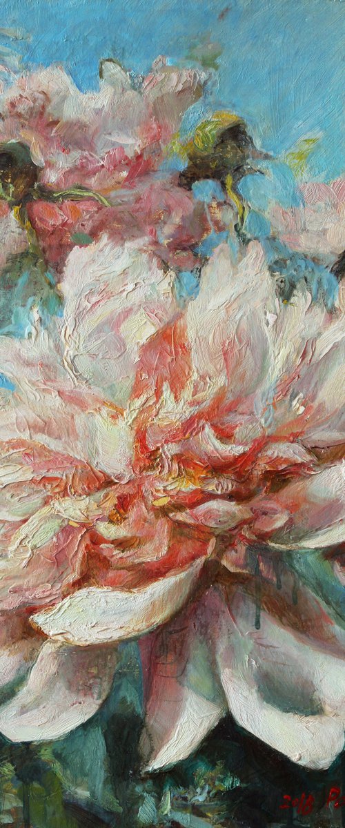 Pink peony. by Marina Podgaevskaya