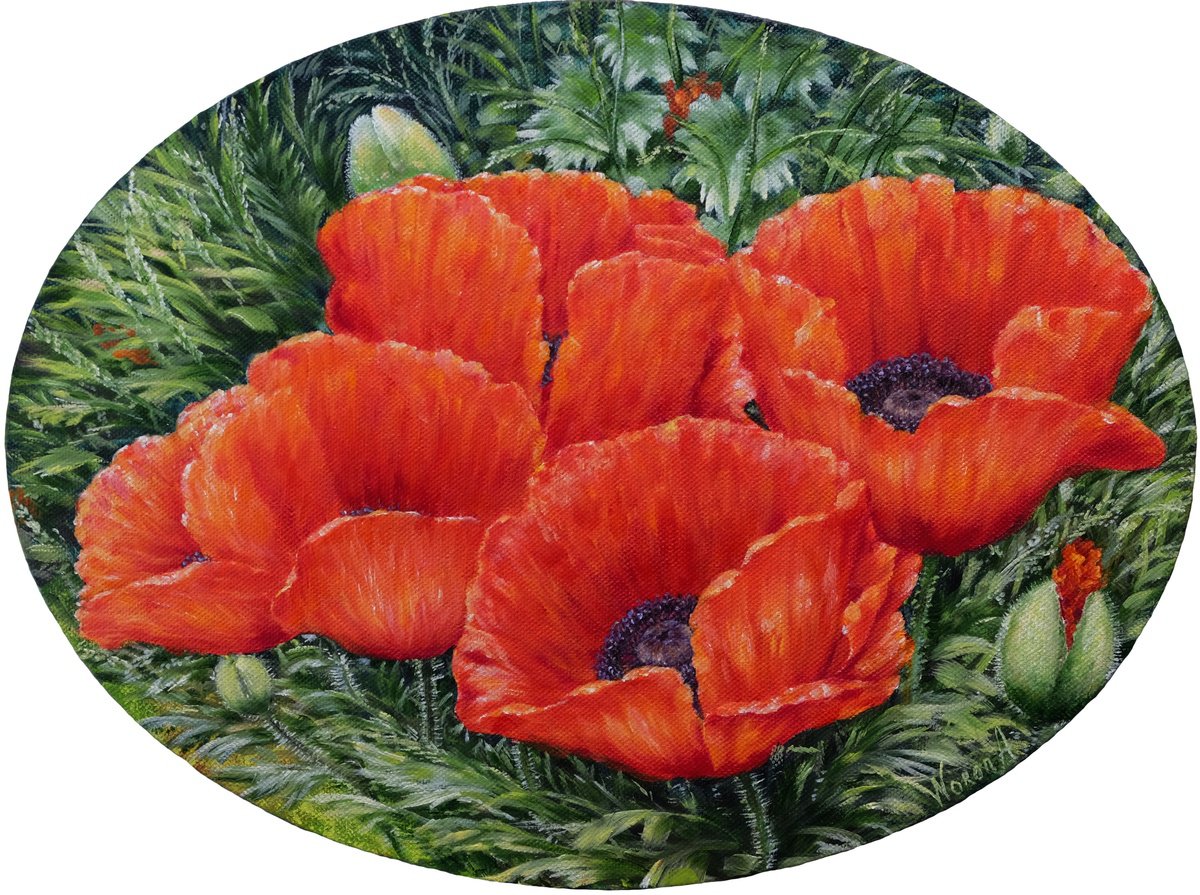 Botanical Oil Painting By Anastasia Woron, 16 X 12, Poppies., Original Artwork