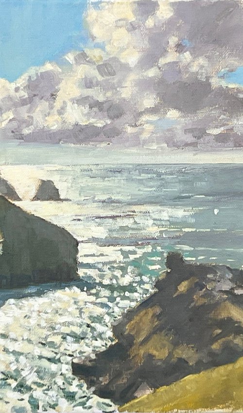 Boscastle from above by Louise Gillard