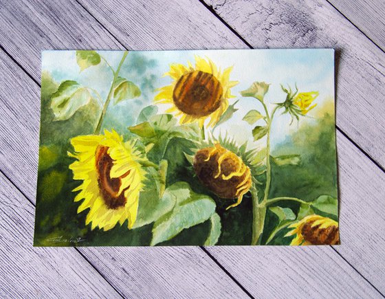 Sunflowers