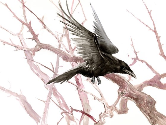 Flying Raven