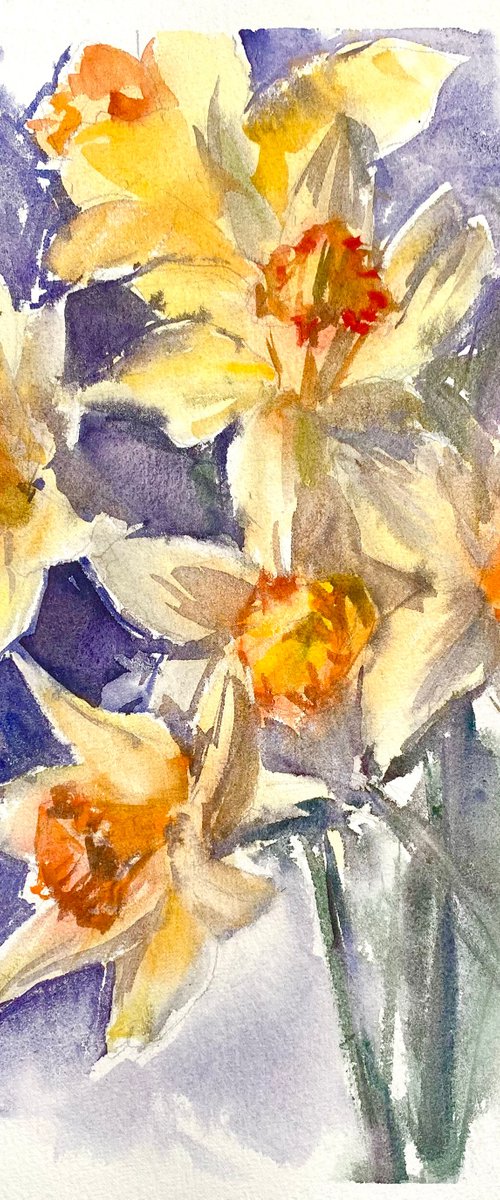Narcissus by Nataliia Nosyk