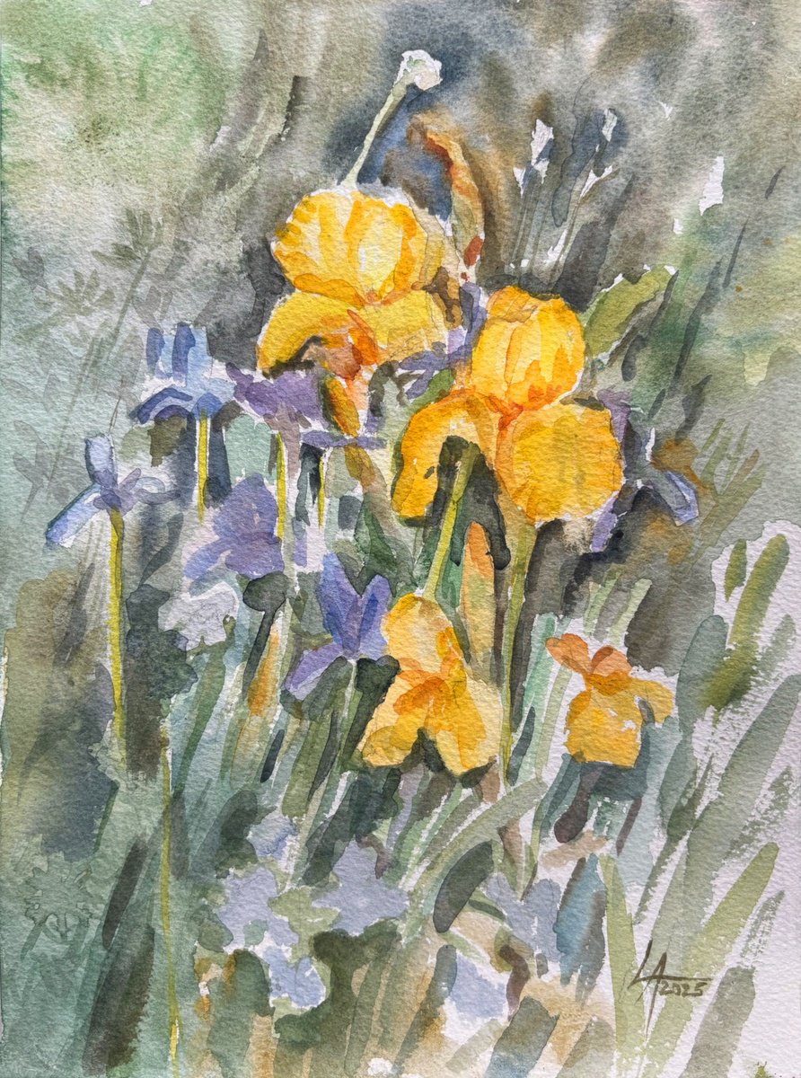 Impressionistic Botanical Watercolour By Elena Lykhodid, 9 X 12, Irises, Original Artwork