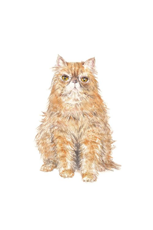 Persian Cat Original Watercolor by Lauren Rogoff