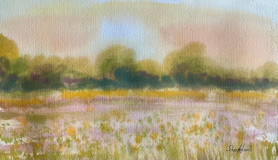 Buttercup meadow sunrise