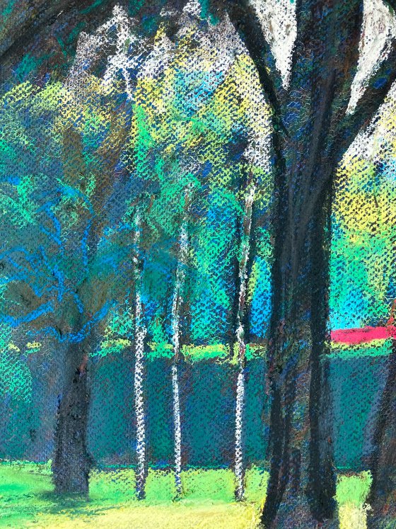 Sunlit grove