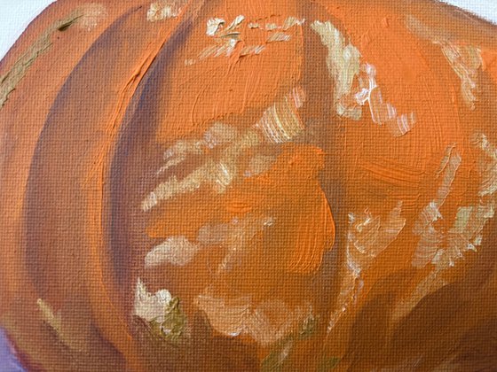 A small pumpkin. still life