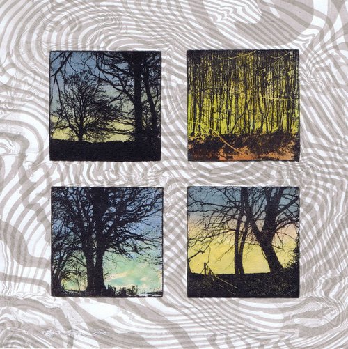The Beautiful Trees 21 by Aidan Flanagan Irish Landscapes