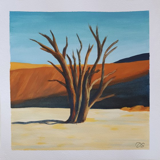 Desert Acacia