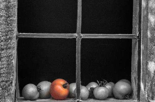 Red Tomato by Ron Colbroth