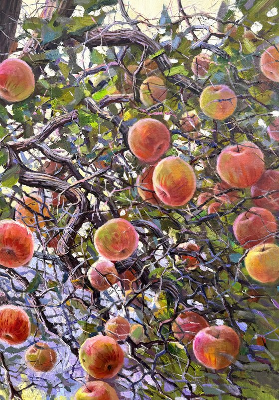 Apple Tree in Summer