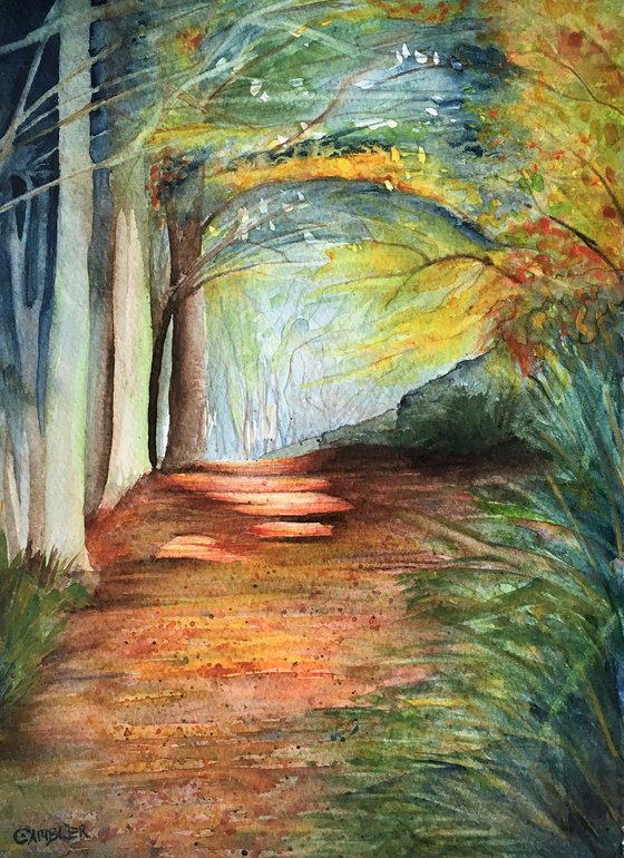 Autumn Woodland Walk - Framed Watercolour