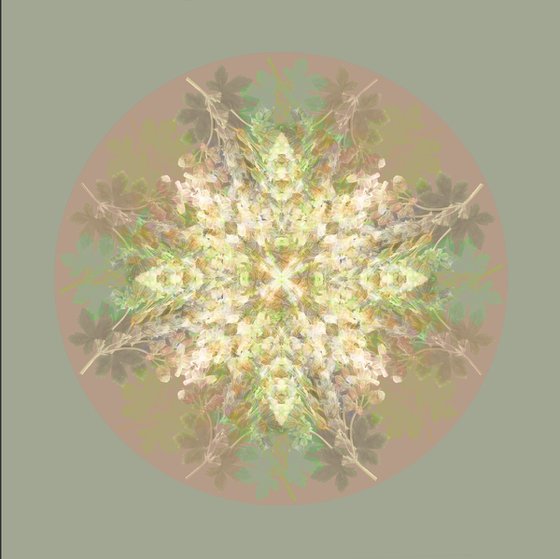 Botanical Mandala #3