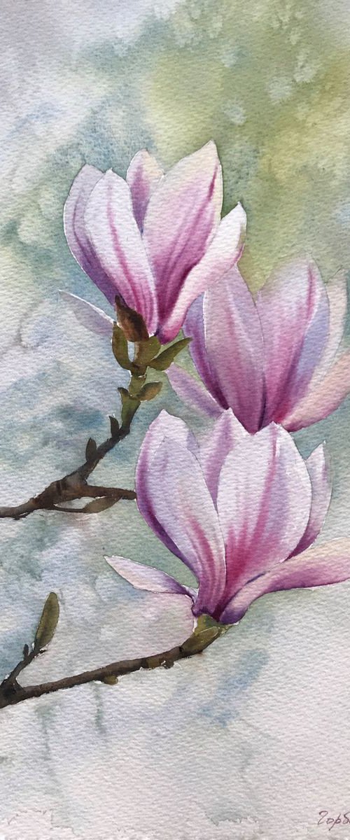 Magnolia Flowers by Eugenia Gorbacheva