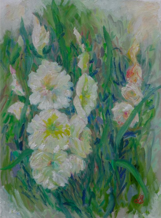 Gladioli
