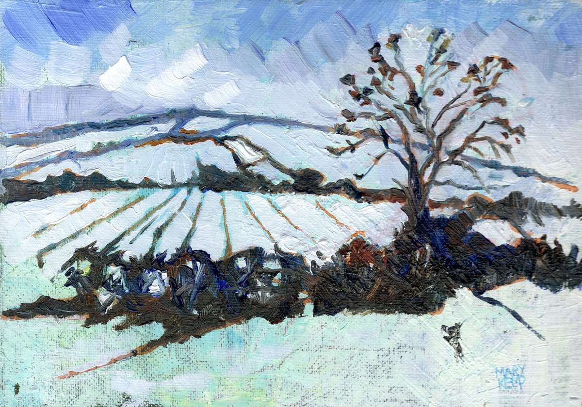 Snow Covered Hill - A47 - Leicestershire by Mary Kemp