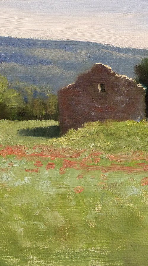 Shed in Provence by Pascal Giroud