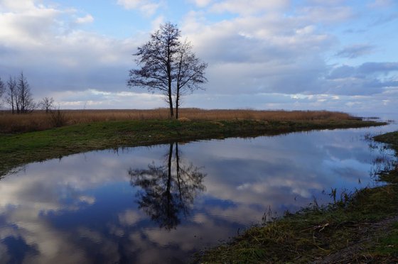 Photography | Curonian Lagoon | Mirrors of Curonian Lagoon