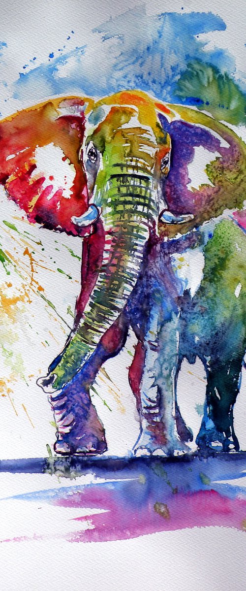Colorful elephant II by Kovács Anna Brigitta