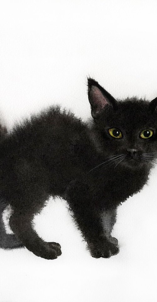 Black Kitten Cute Kitty by Olga Beliaeva Watercolour