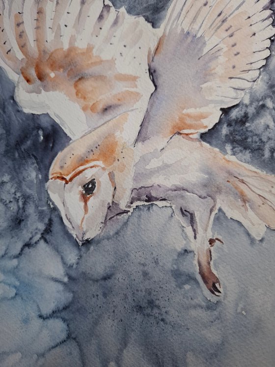 Owl in flight