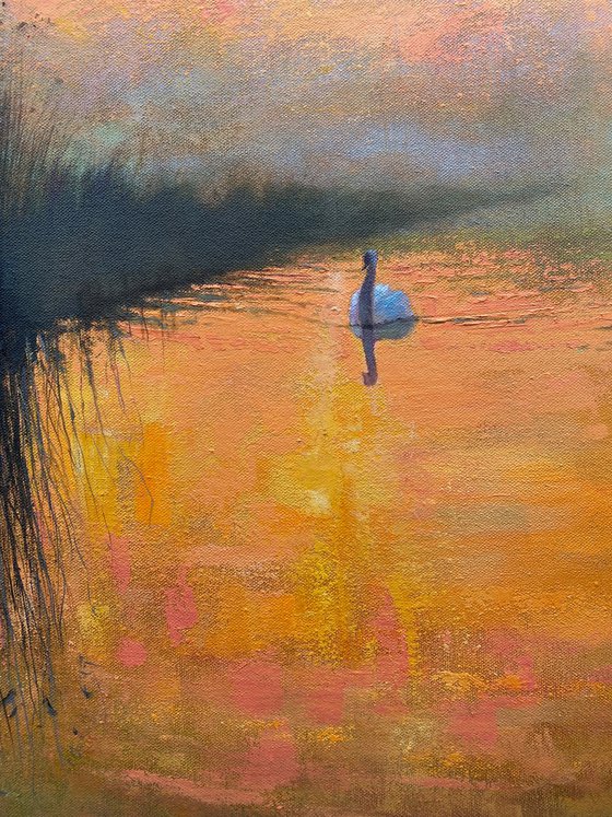 Dawn over the Long Marshes