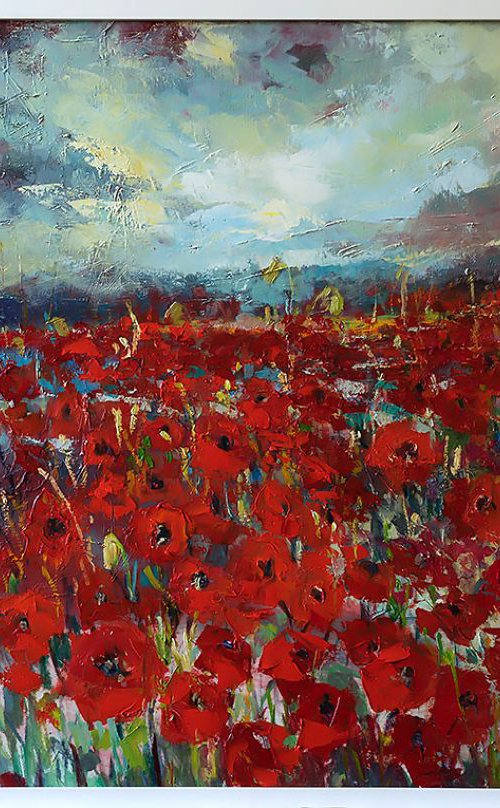 'Poppies Valley' by Ewa Czarniecka