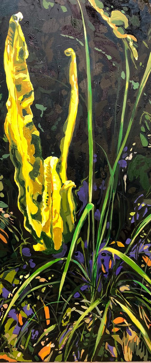 Hart's Fern by Gaal Shepherd