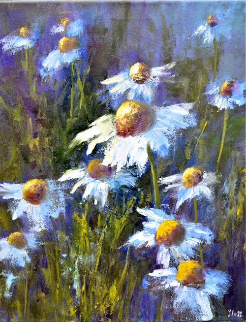Lovely garden daisies by Elena Lukina