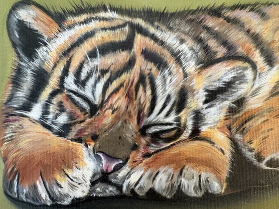 Tiger cub
