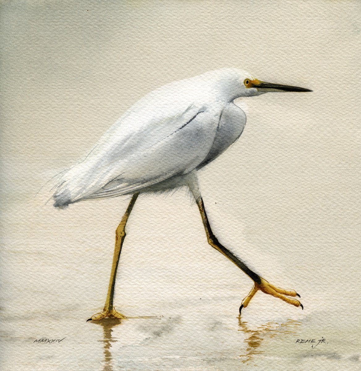 Bird CCLIII - Snowy egret by REME Jr.