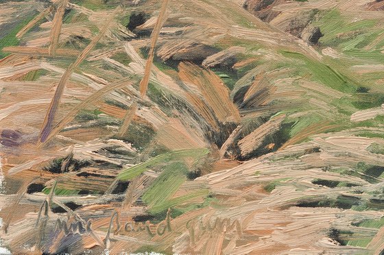 Brittany, coastal stream