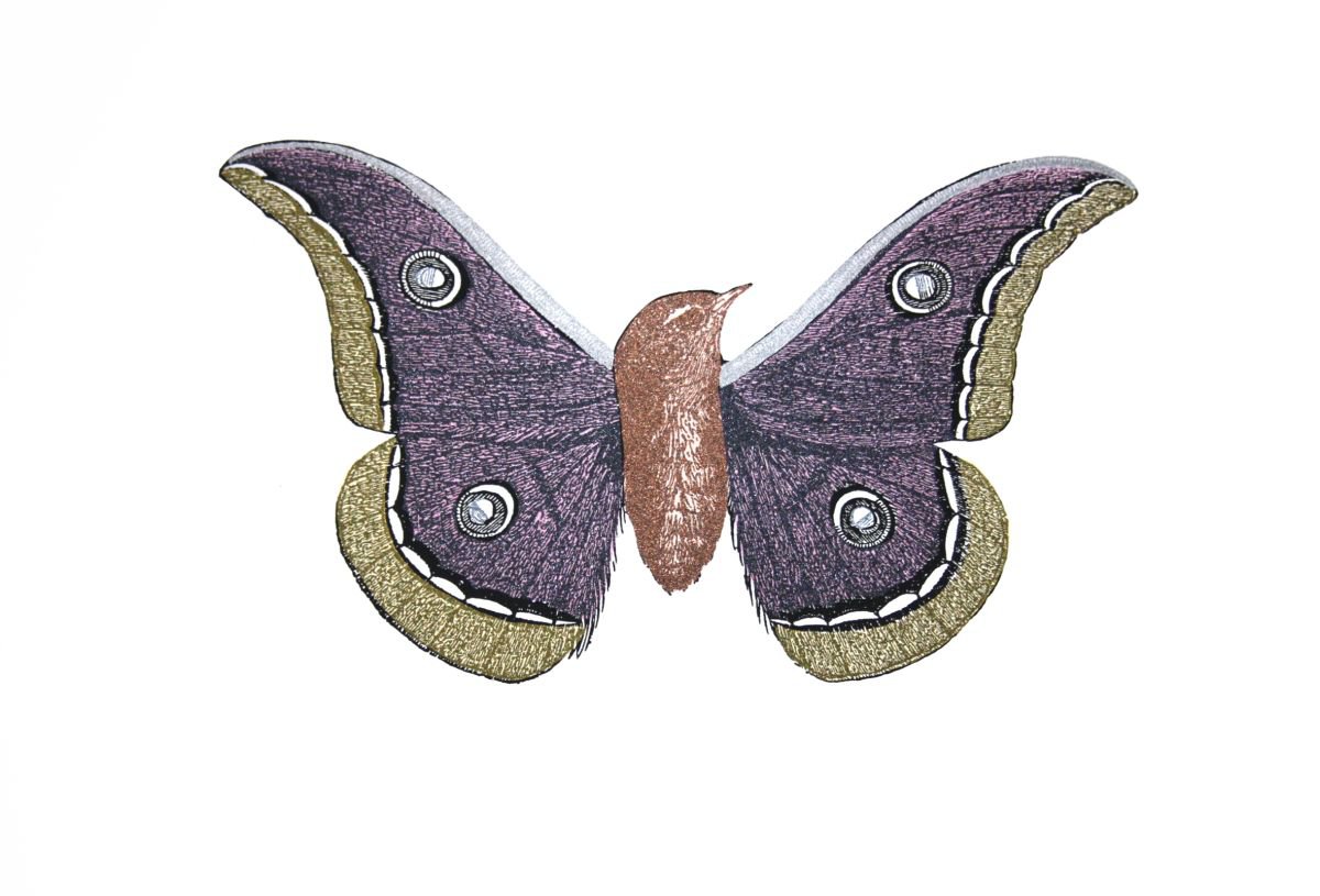 Moth-bird #1 by Penelope Kenny