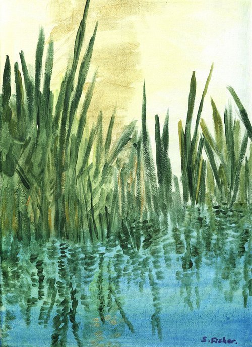 the reed bed early morning. by Sandra Fisher