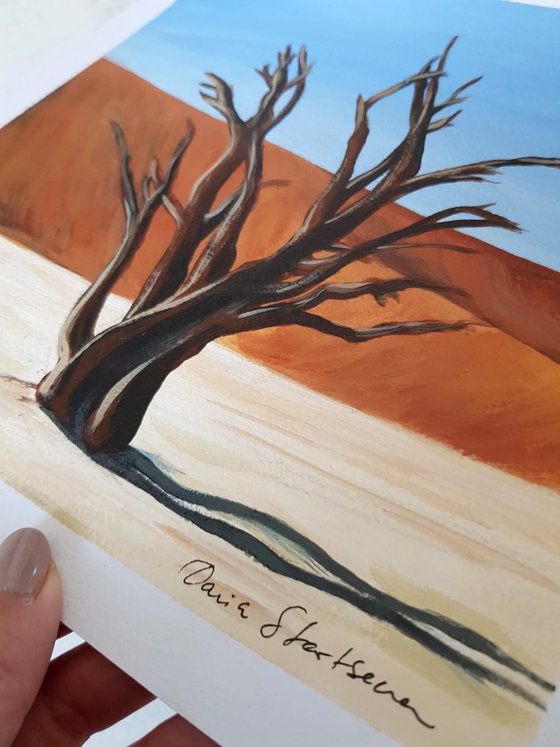 Desert Acacia