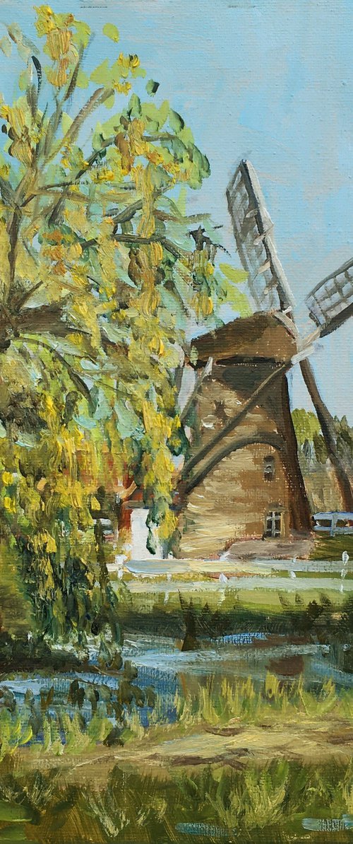 Spring windmill in Maasluis by Elena Sokolova
