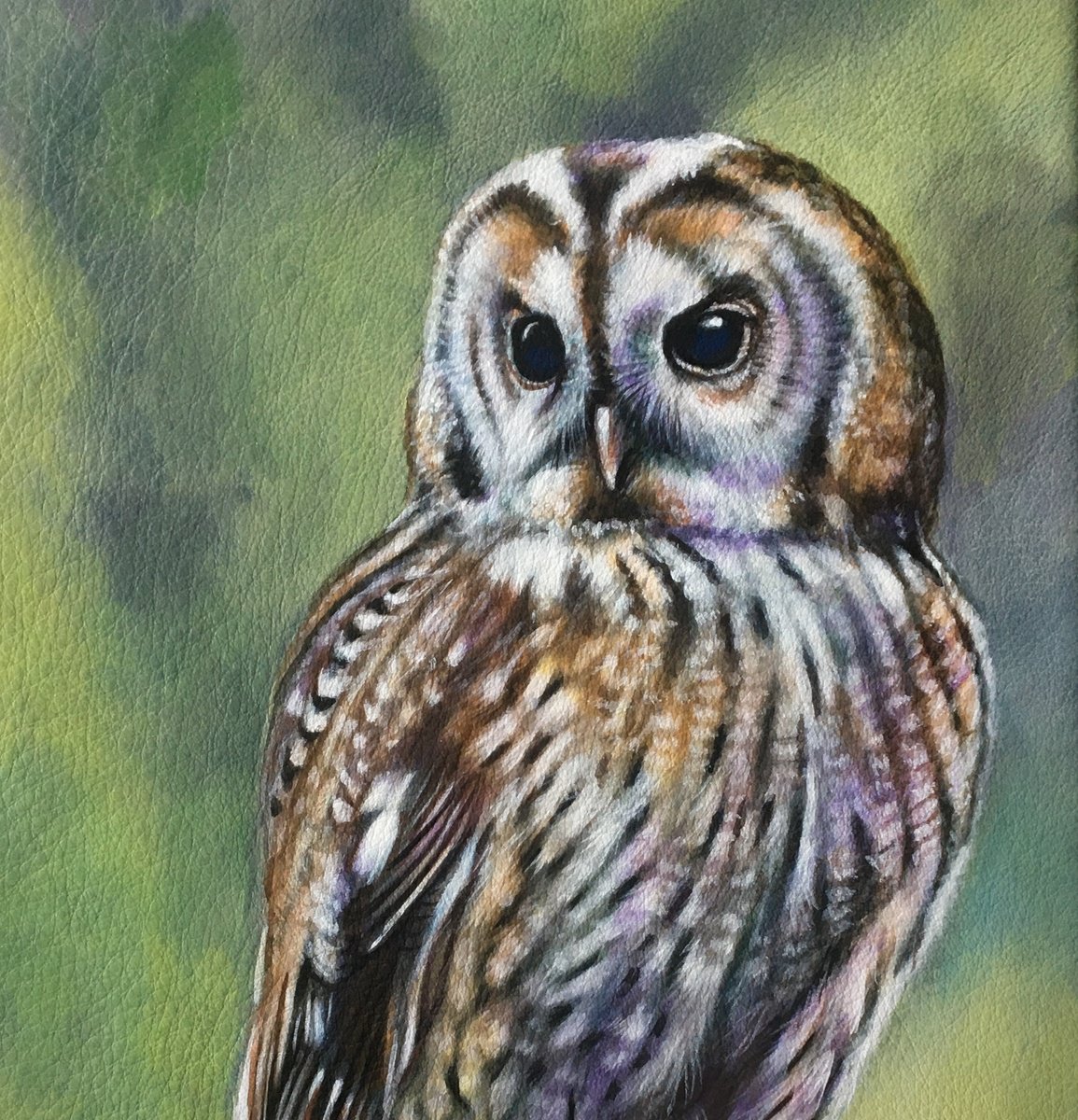 Athena - tawny Owl by Karl Hamilton-Cox