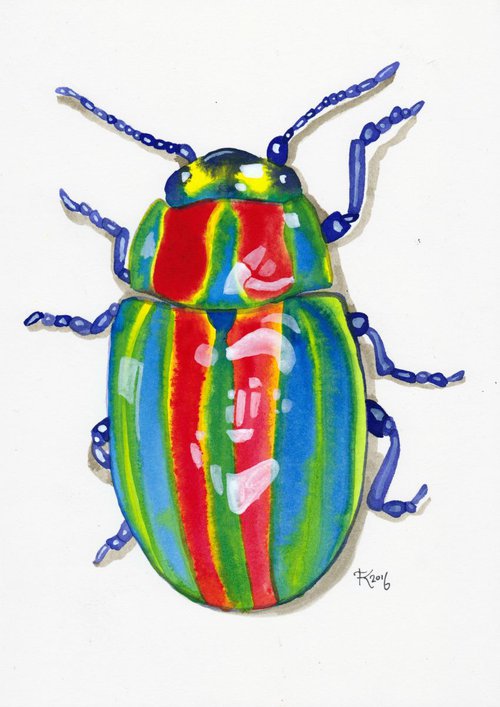 Rainbow Bug by Terri Smith