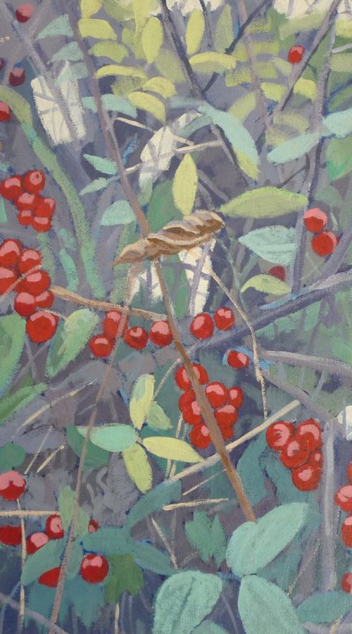 Hedgerow with black bryony berries by Bert Bruins