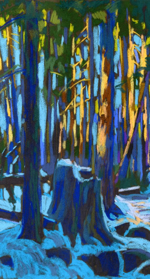 Lynn Forest by Kira Sokolovskaia