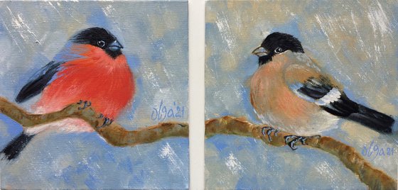 Diptych oil paintings - Bird small canvas - Bullfinches for bird lover - Christmas gift idea