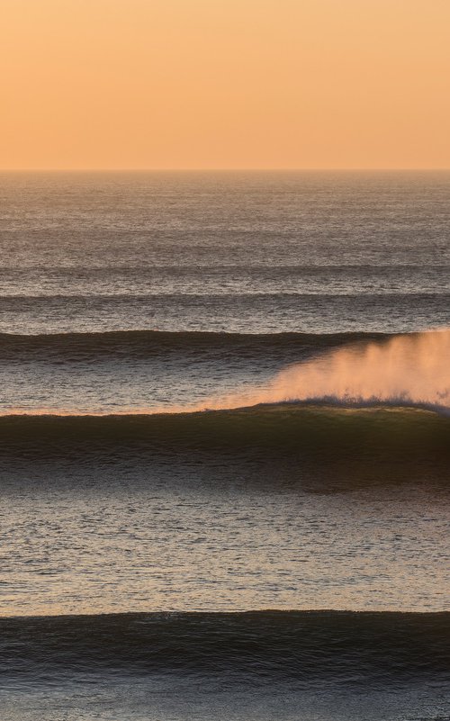 Orange Spray by Gary Moger