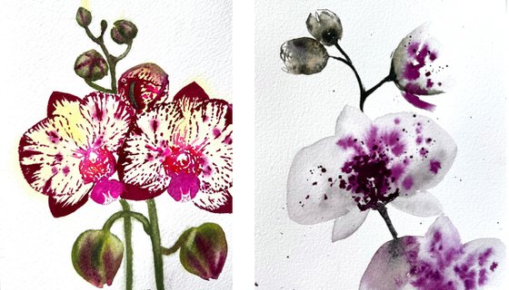 Twin Wild Orchid Purple