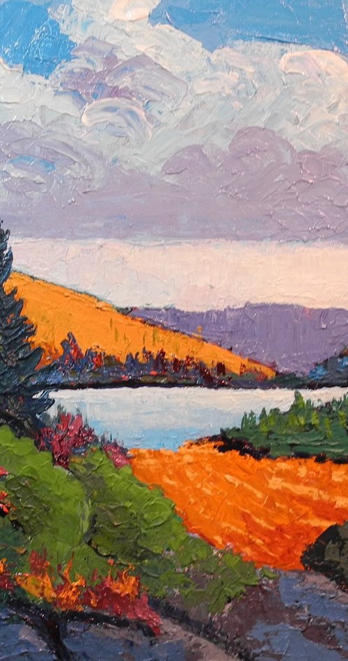 View from Algonquin Park, Ontario, Canada by Edward  Abela