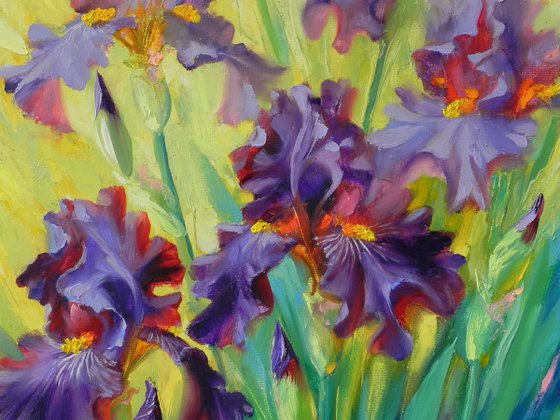 "Iris"