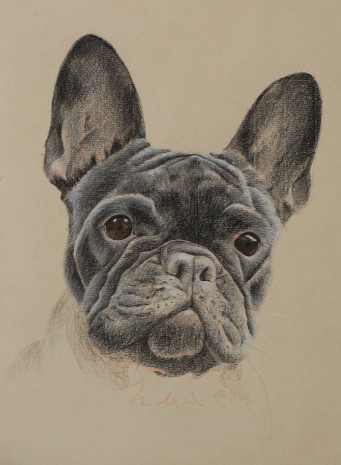 French Bulldog Pastel drawing by Wendy Booth