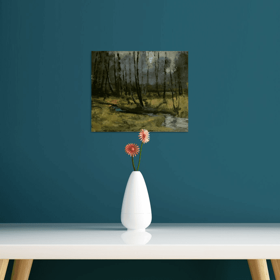 Forest Stream